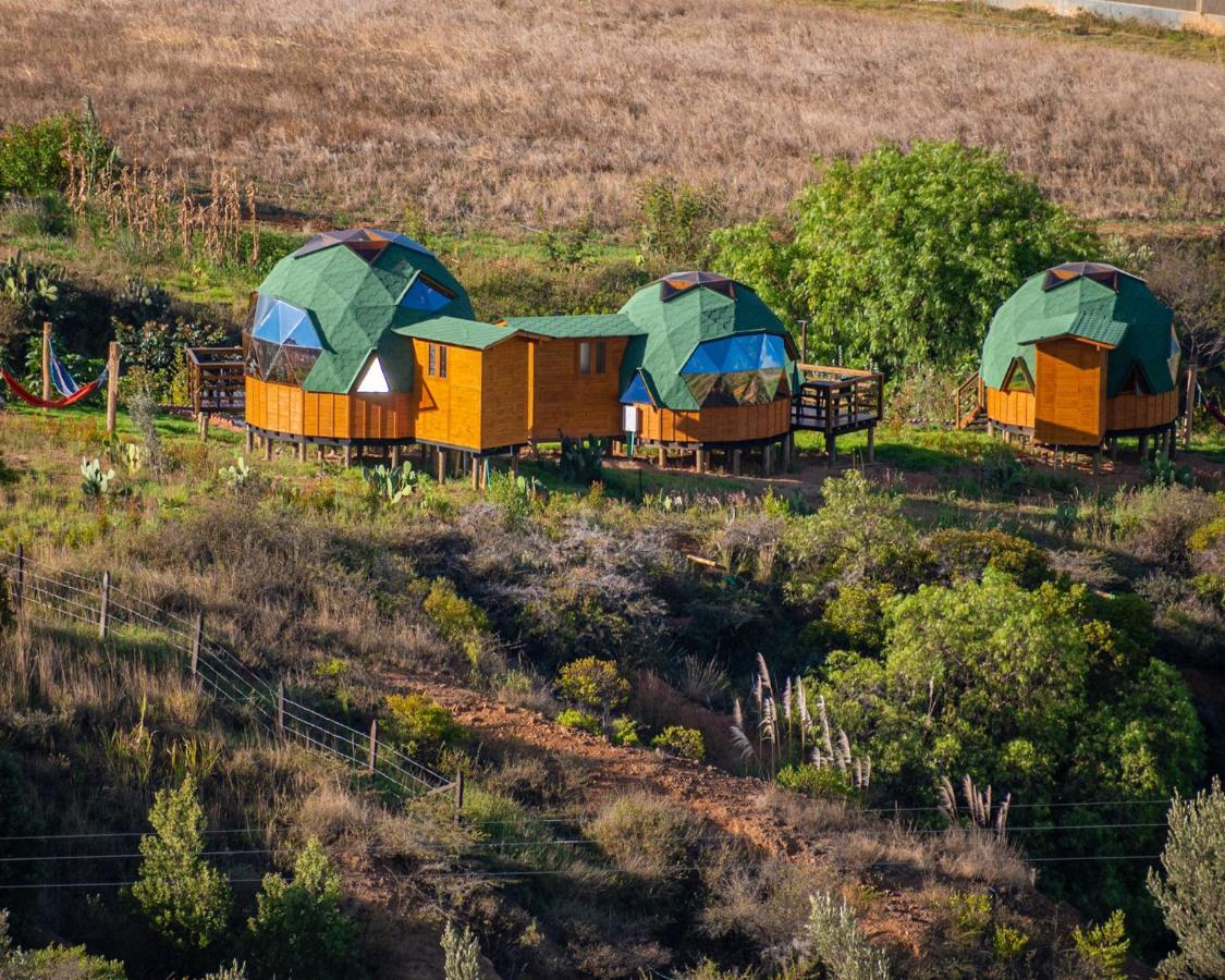 Los Nopales Glamping Sáchica Екстериор снимка